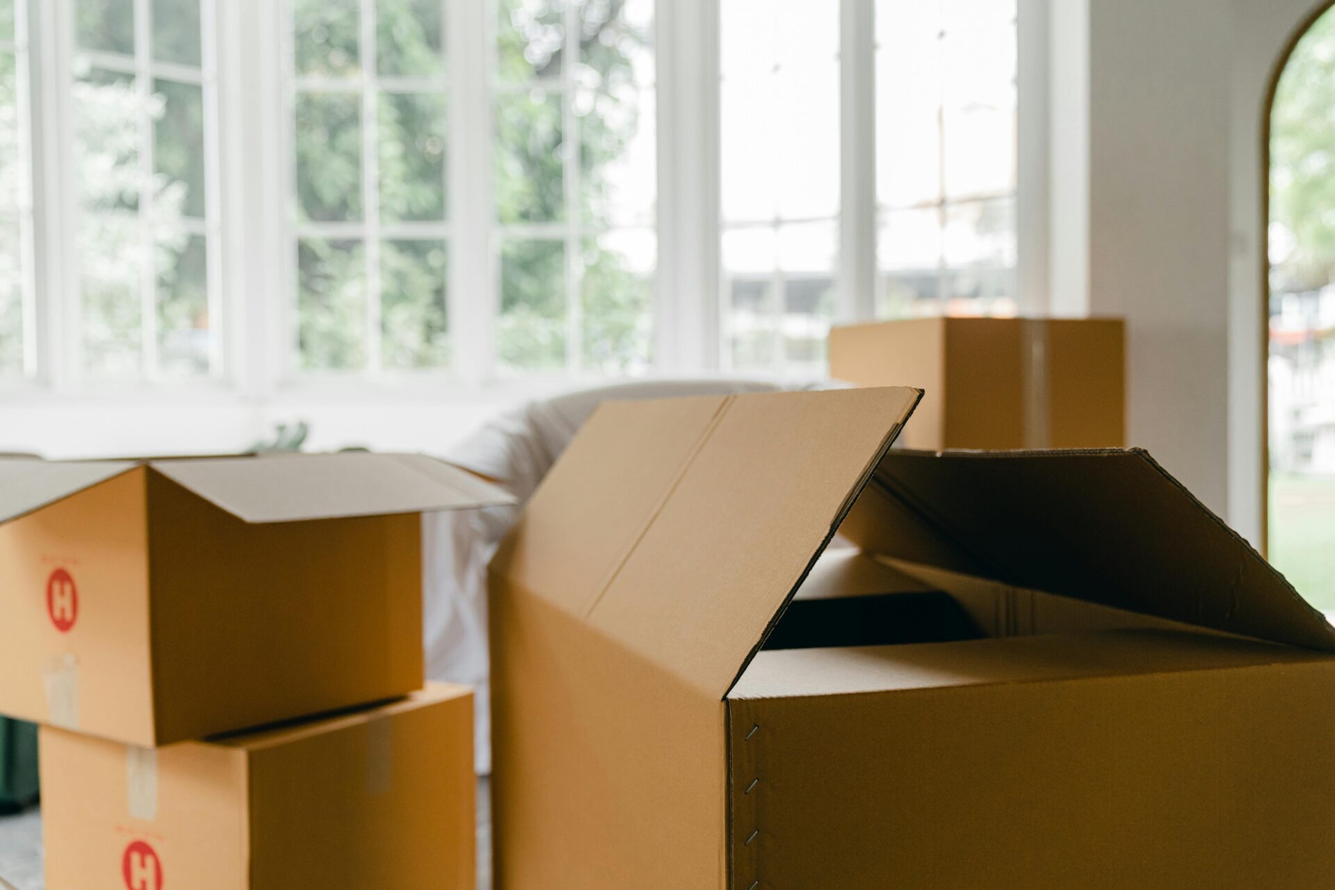 Move-in/out Cleaning
